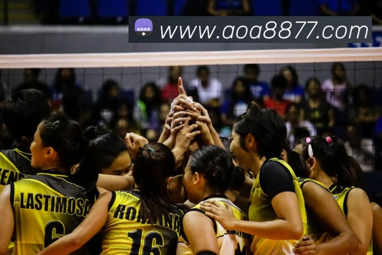 AOA sports官网服务体系